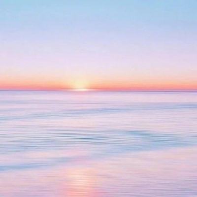 IM体育官网登录入口